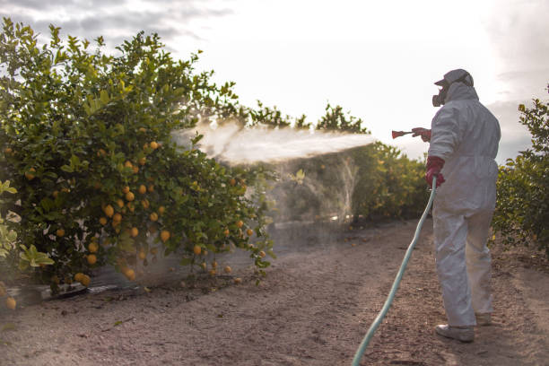 Best Pest Control for Restaurants  in Bernalillo, NM