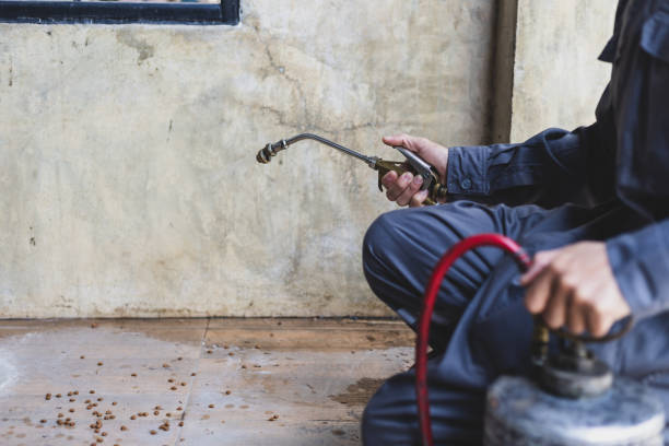 Best Mosquito Control Services  in Bernalillo, NM